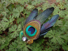 Load image into Gallery viewer, Peacock Facinator